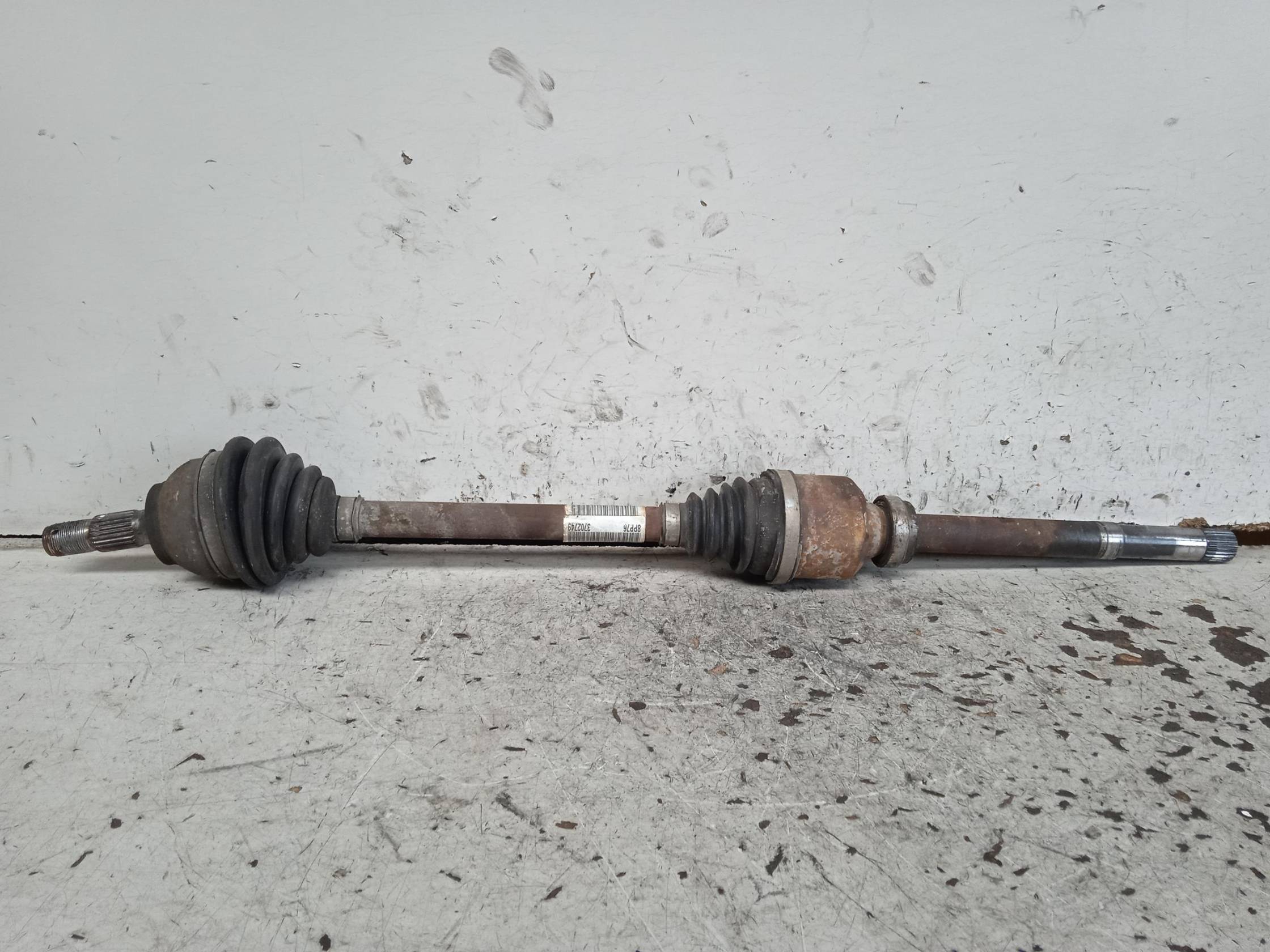 Semialbero ant. compl. dx.